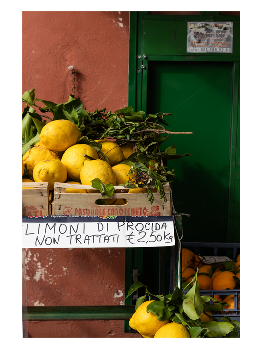 Fånga Fine Art Print lemons of procida green yellow terracotta color scheme