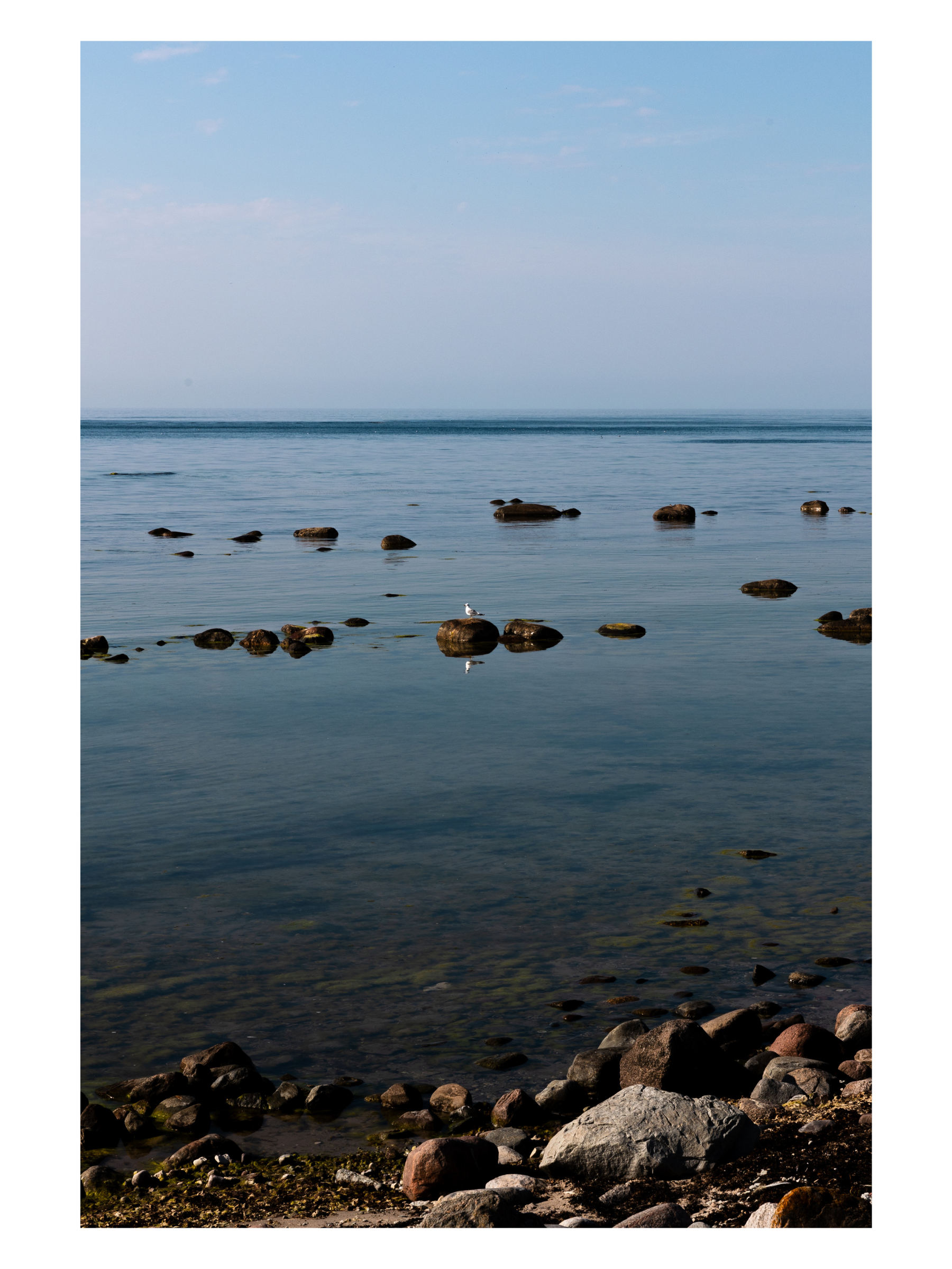 Fånga Fine Art Print Swedish waters