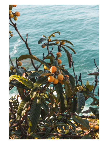 Fånga Fine Art Print dreamy ocean blues, sea view cinque terre